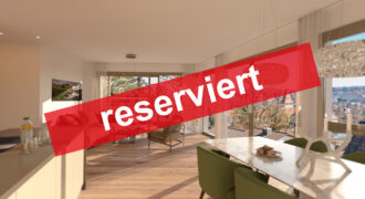 RESERVIERT | Residenz Zentaur Aarau | 3½-Zimmerwohnung 1.1