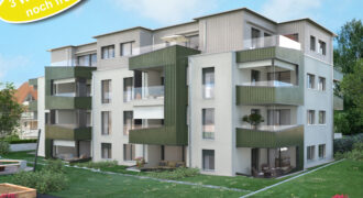 Casa Giardino | 2.5-Zimmer Gartenwohnung 0.2 | EG Süd