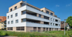 Wohnen in der ersten Reihe – Gartenwohnung 0.1 Wohnen in der ersten Reihe – Gartenwohnung 0.1