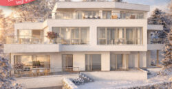 4.5 Zimmerwohnung 1.1 | Residenz Zentaur, Aarau