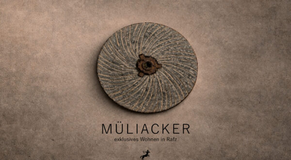 Müliacker – Attikawohnung 1.2