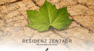 4.5 Zimmerwohnung 2.1 | Residenz Zentaur, Aarau
